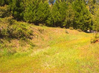 16455 McKenzie Dr, Pioneer, CA 95666