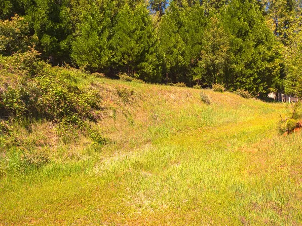 16455 McKenzie Dr, Pioneer, CA 95666