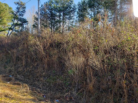 3rd image of 0 Highway 411 N