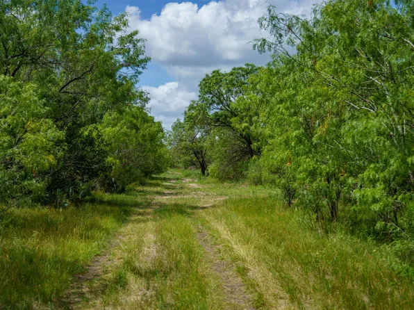 72+/- ACRES CR. 215, McCoy, TX 78113