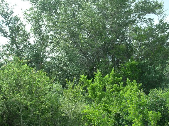 3rd image of CR 121 Tr #3-2