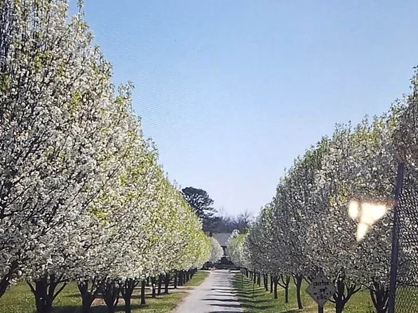 000 W Copper Creek Drive, Nixa, MO 65714