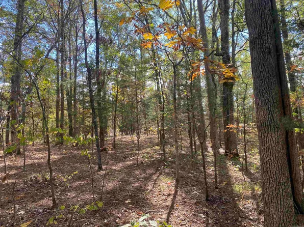 Holly Rdg, Mount Ida, AR 71957