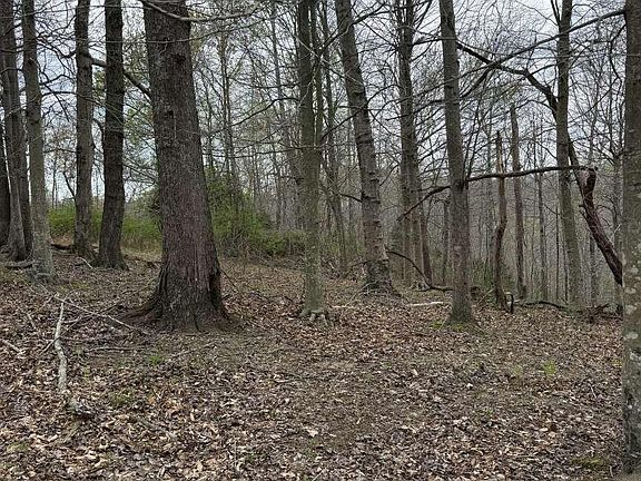 3rd image of 5483 Subtle Rd