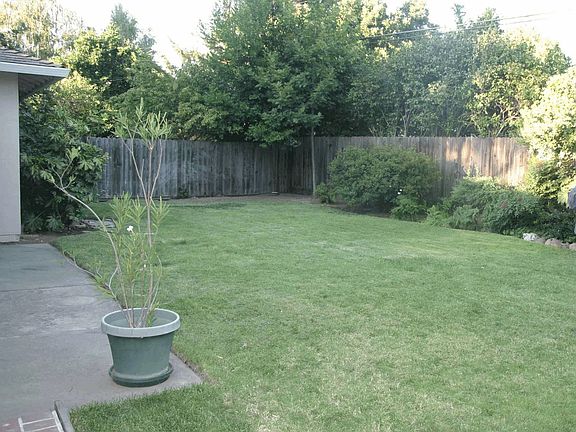 Backyard- before new sod and flower beds