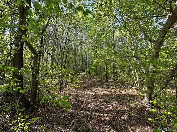 0 New Market Mill Rd #1, Beaverdam, VA 23015