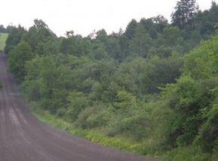 179 Perce Rd, Lisle, NY 13797