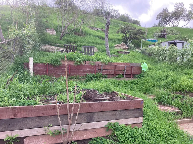 708 Amador St — Photo 17