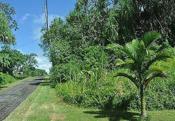 4th image of Papai St Lot 1808