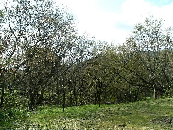 Lookin g east from site