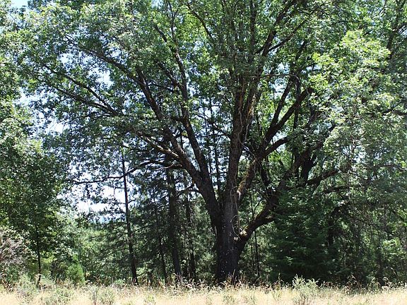 3rd image of 901 Bald Mountain Rd