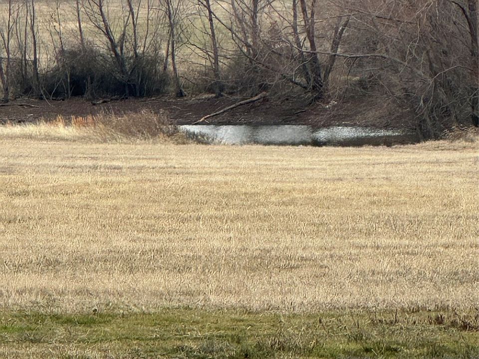 2nd image of 4365 S Fm 730
