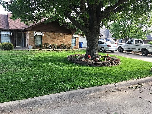Spring 2020 front yard