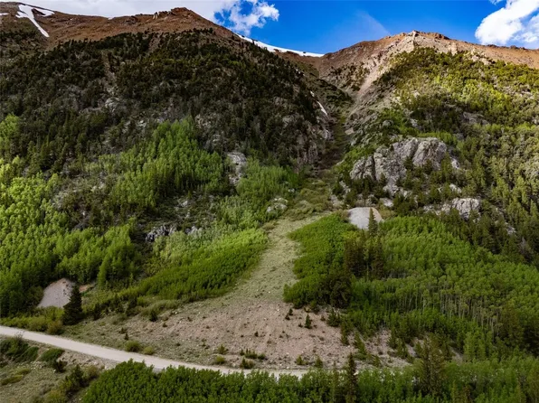 Forest Service Rd #451, Alma, CO 80420