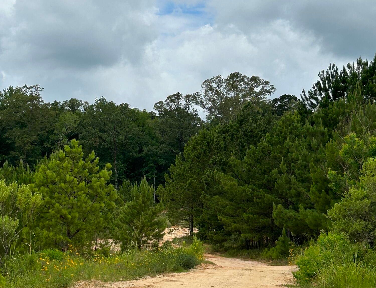 0 White Rd, Florence, MS 39073 MLS 4052943 Zillow