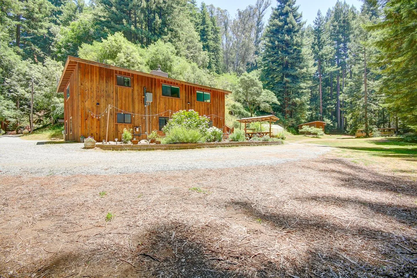500 Hidden Cyn photo 1