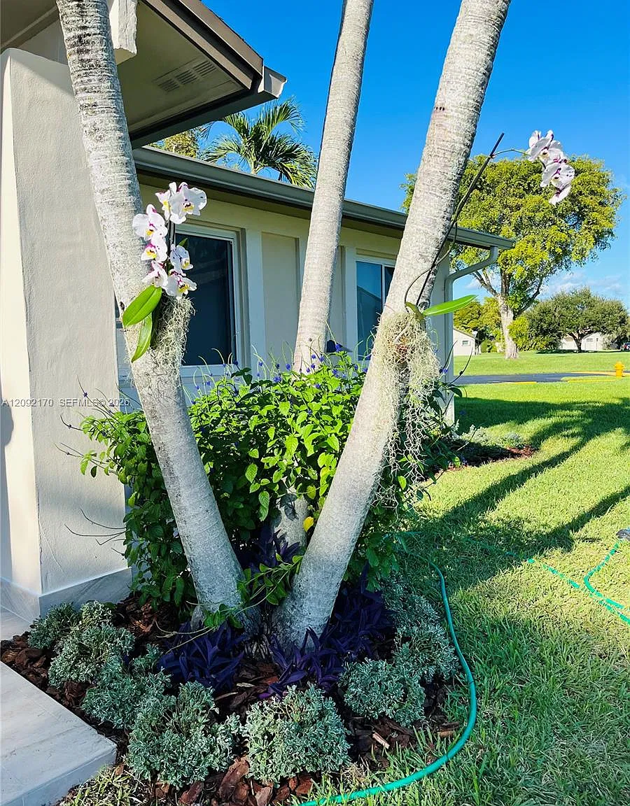 3 bed, 1156 sqft, $3,500 — Photo 3