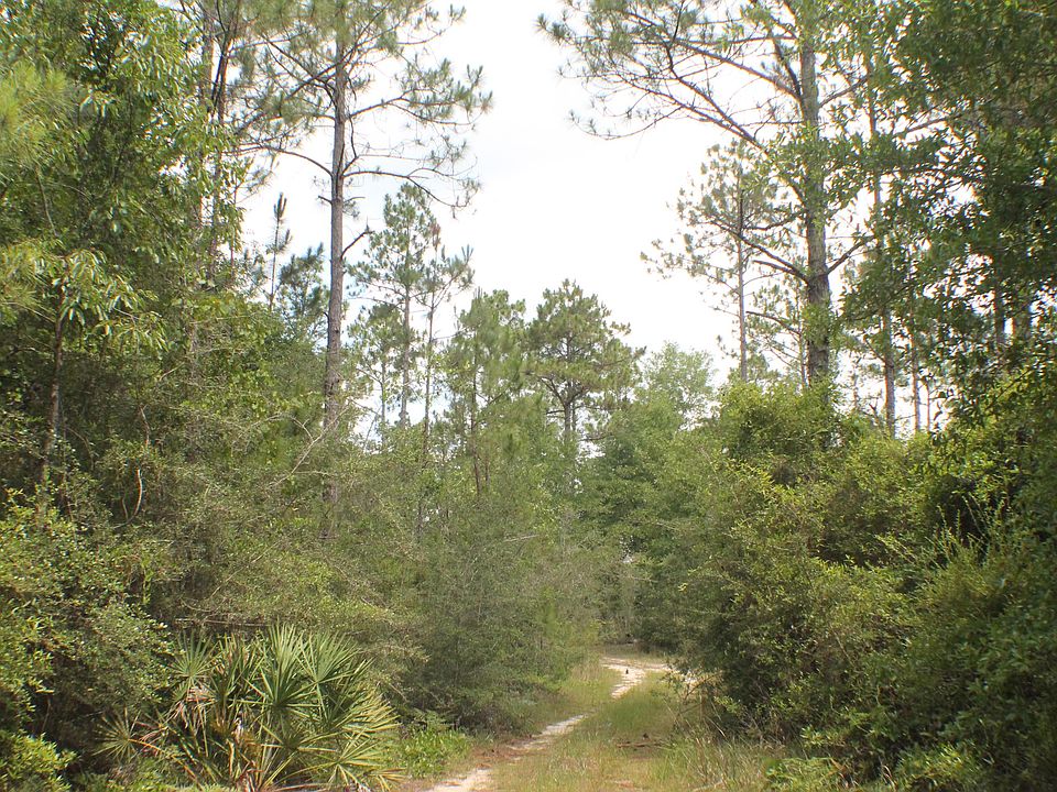 1st image of Welannee Blvd
