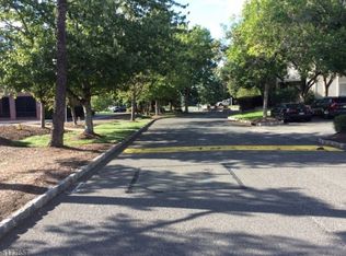 66 Mayfield Rd, Bedminster, NJ 07921