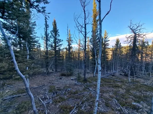 0 Haida Ln, Como, CO 80432