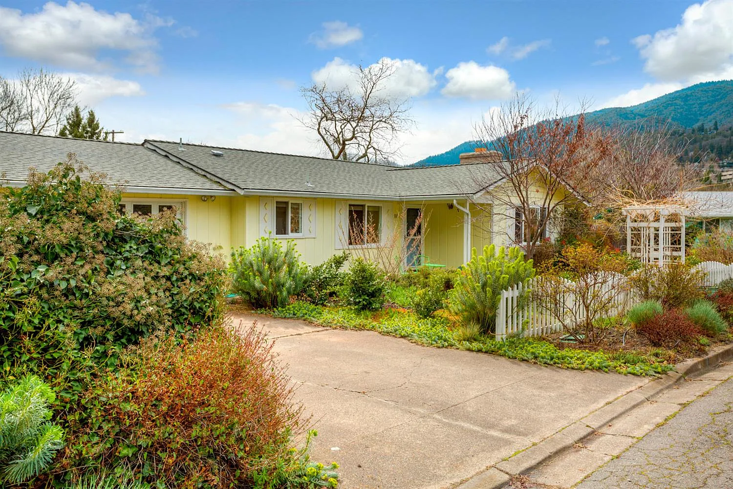 310 Kent St photo 1