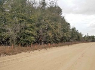 Vacant Se River Rd, Lee, FL 32059