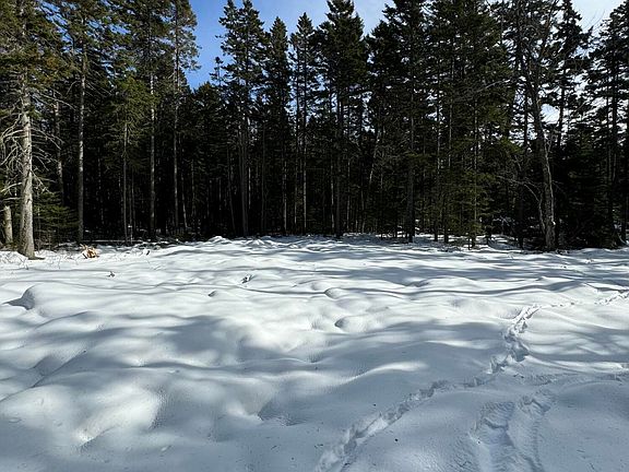 4th image of 12 Jamestown Road