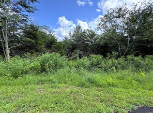 19 English Fields Dr, Cosby, TN 37722