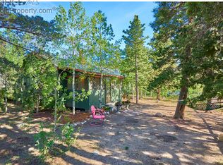 196 S Tilden St, Nederland, CO 80466