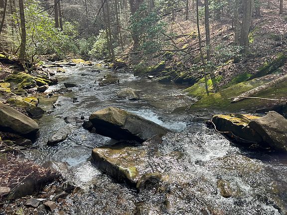 5th image of 126 Kelly Creek Rd