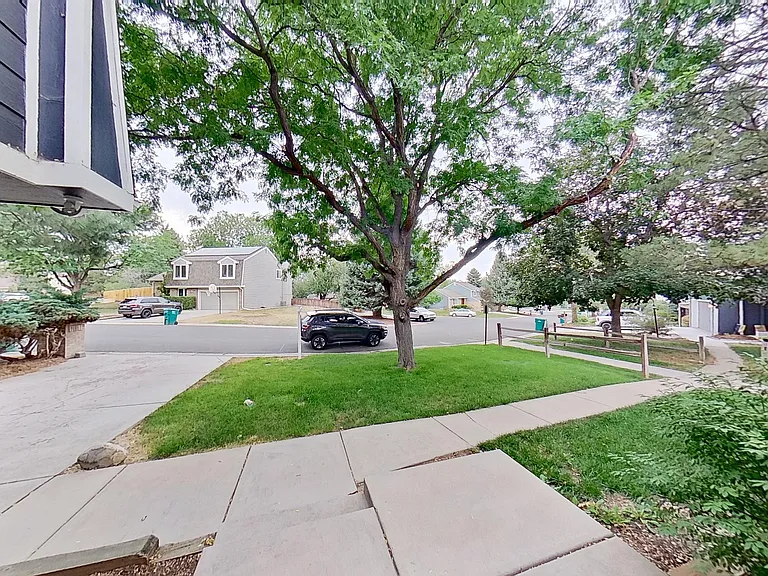 Front yard