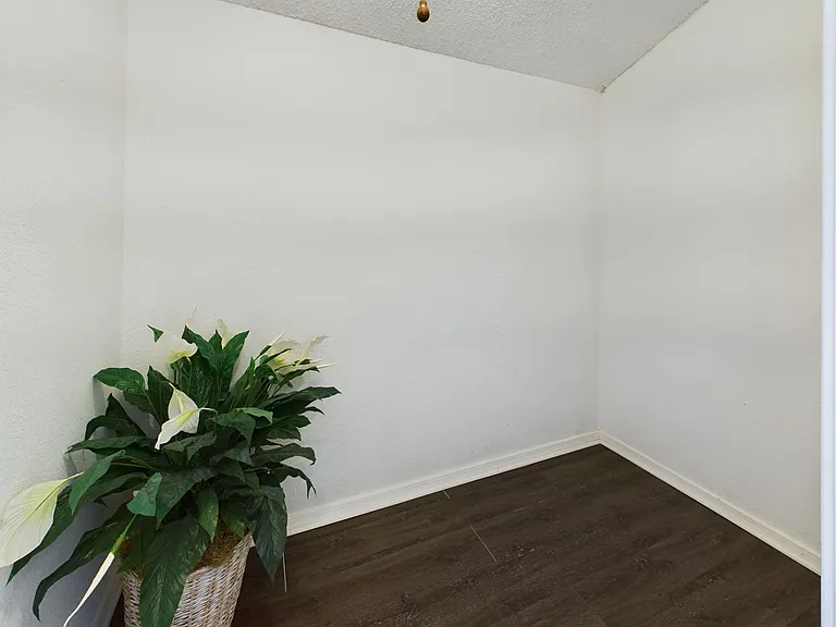 Raintree Apartments — Photo 8