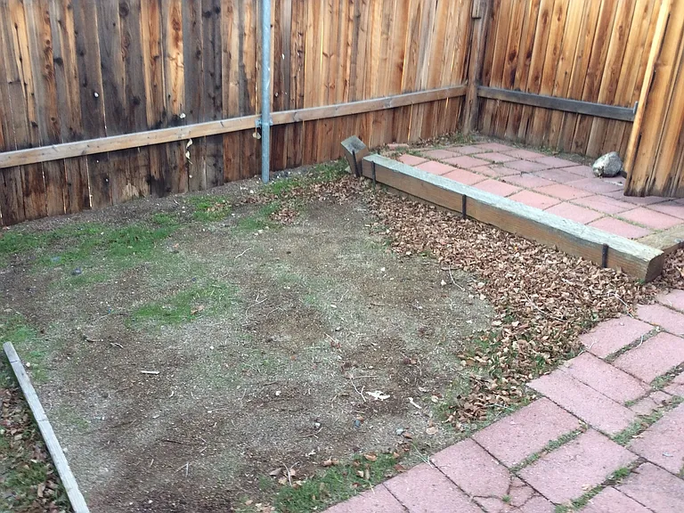 1037 N Sierra St #B — Photo 7