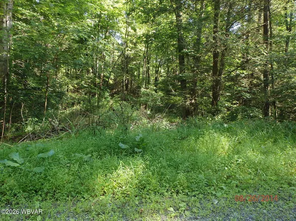 PARCEL 146 Smith Rd, Muncy, PA 17756