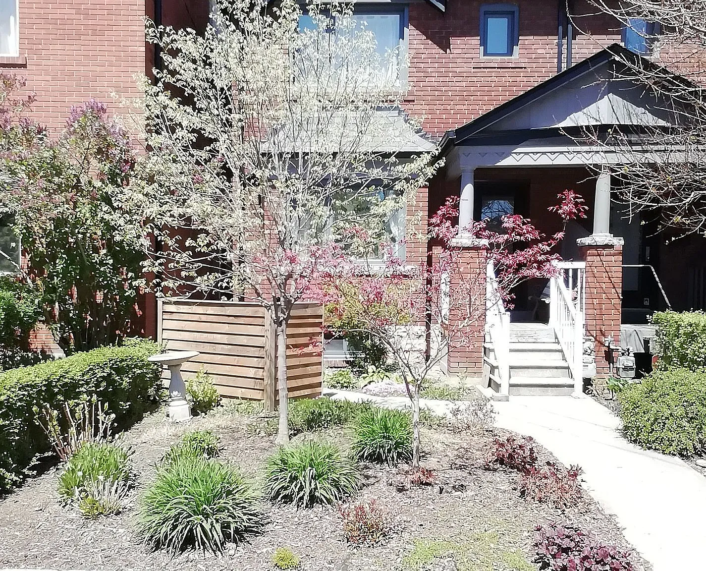 1 bed, $1,800 — Photo 1