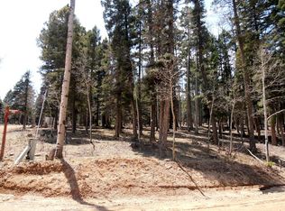 1421 Sacramento Drive, Angel Fire, NM 87710