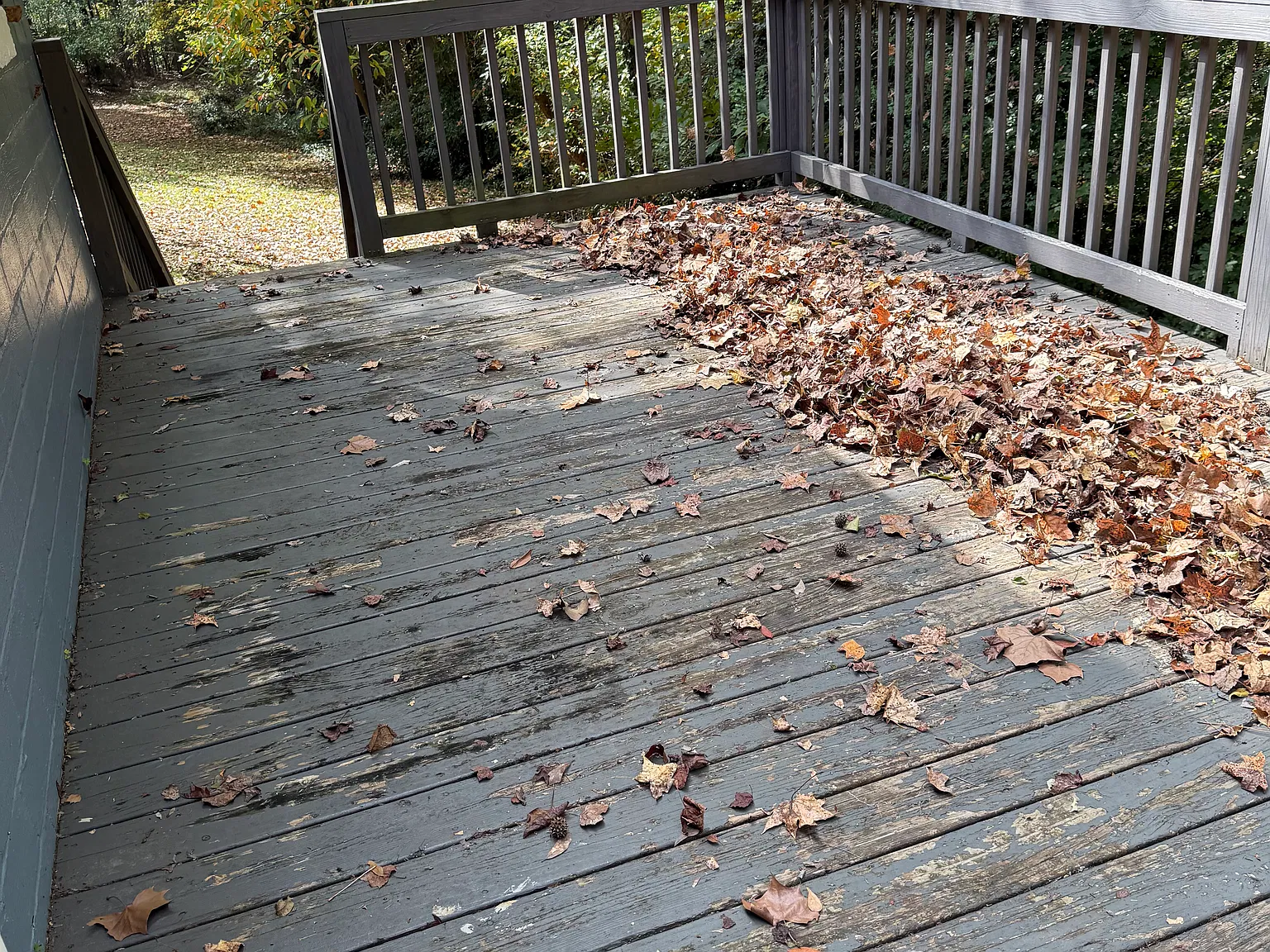 3 bed, 1536 sqft, $1,700 — Photo 4