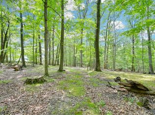 51 Paulinskill Lake Rd, Fredon Twp., NJ 07860