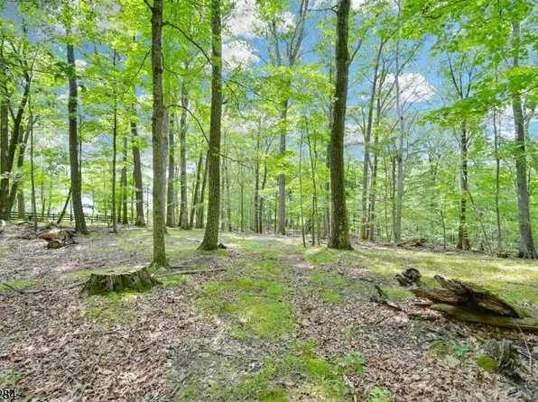 51 Paulinskill Lake Rd, Fredon Twp., NJ 07860