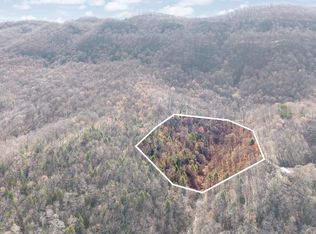 482 Dinah Blair Hollow Rd, Whitesburg, KY 41858