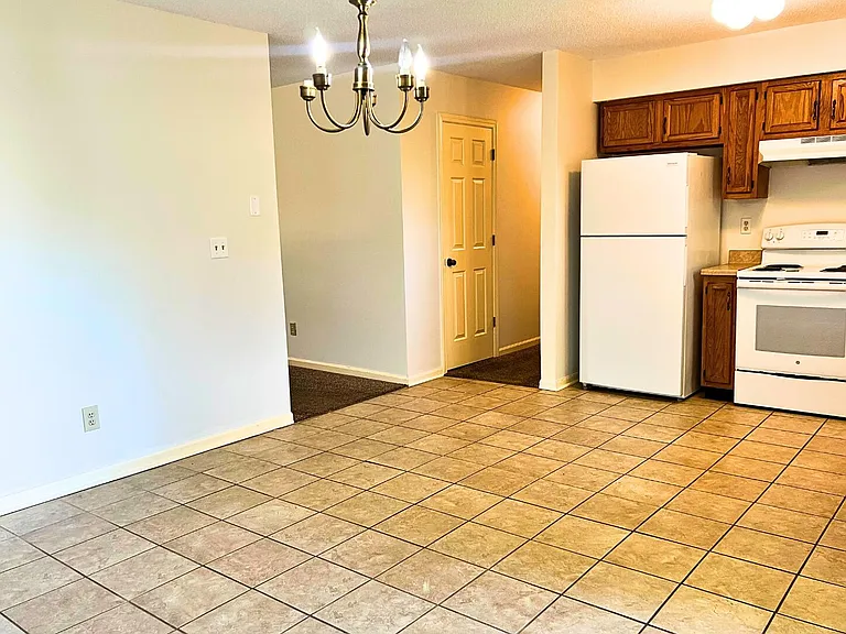 2509 Hollyhock Dr — Photo 18