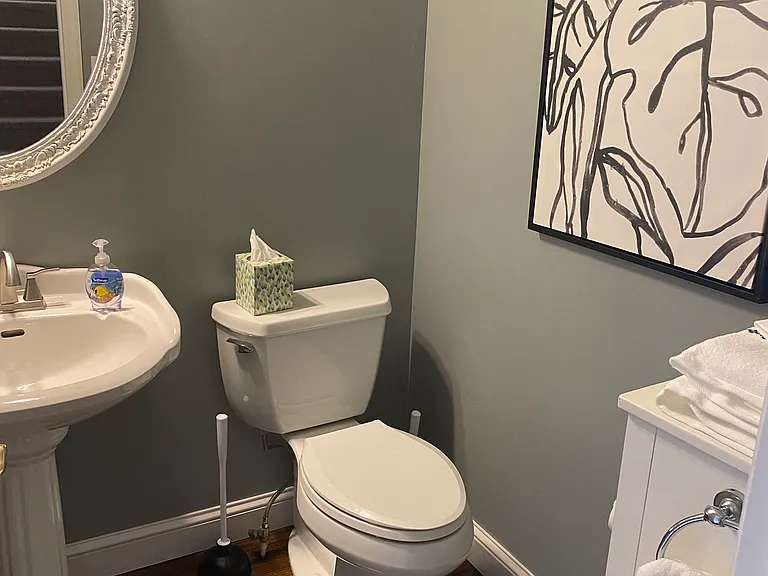 Half bath downstairs for guests and bonus room