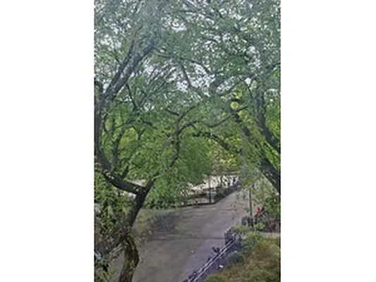 Sold by Corcoran | media 15