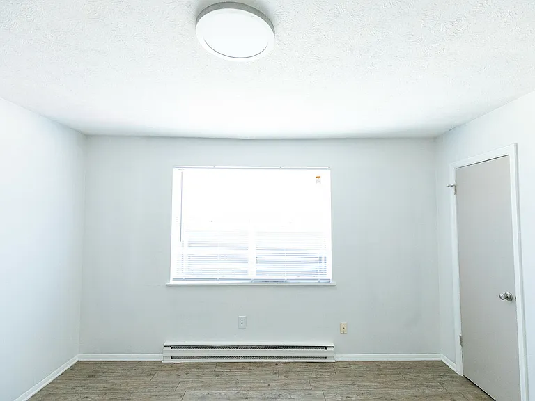 Room Room