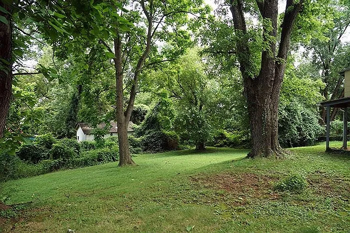 Yard