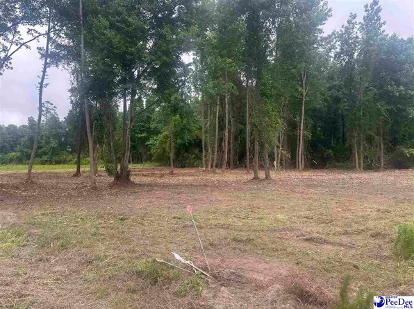 17 Heidi Ln, Hamer, SC 29547