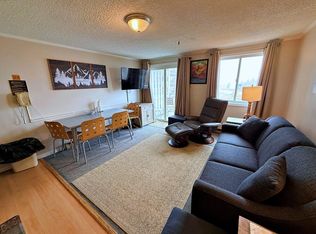 214 Mountain Ldg, Snowshoe, WV 26209