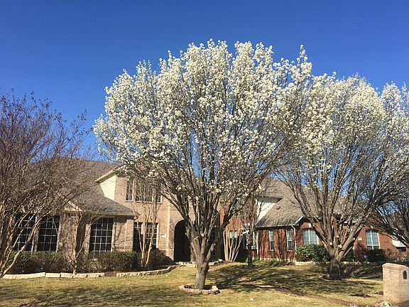 4th image of 3013 Saint Stephens Dr