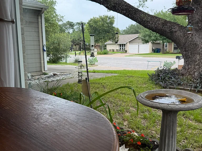 3315 Western Dr — Photo 58