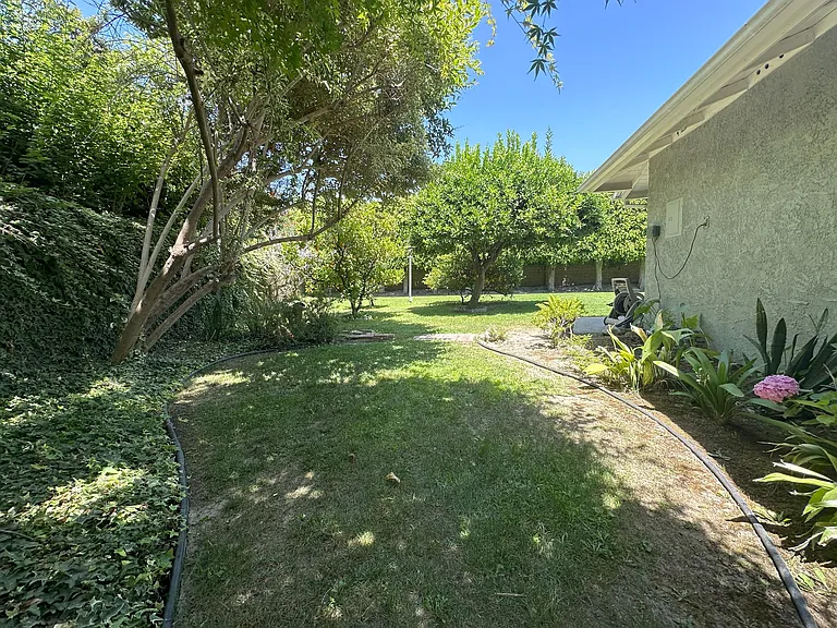 Sideyard (off living room)